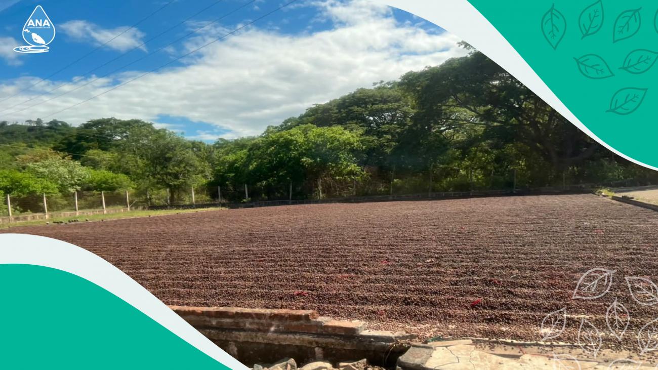 Dirección de Derechos de Agua y Vertidos, realizaron  inspecciones de oficio en el municipio  de Matagalpa. 